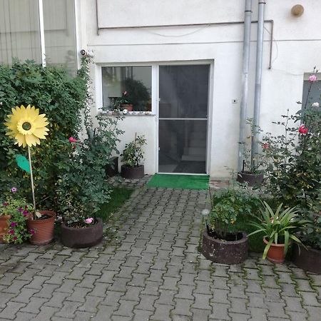 Vila Nely Rîşnov Exterior foto