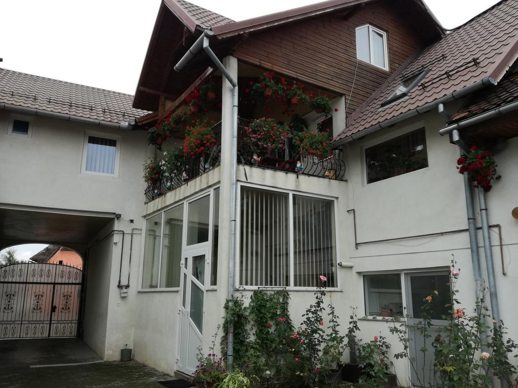 Vila Nely Rîşnov Exterior foto