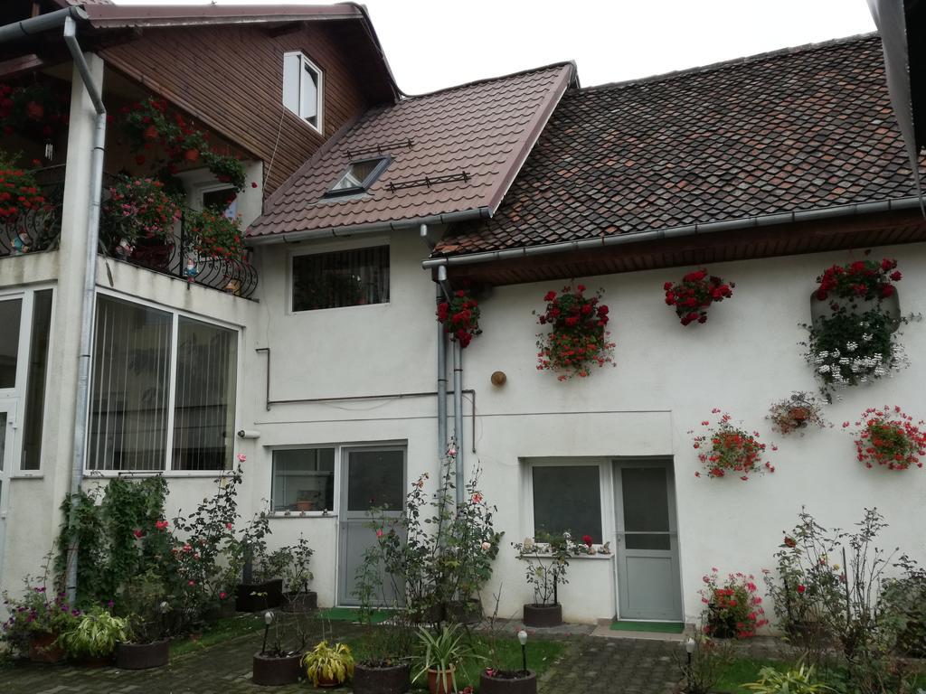 Vila Nely Rîşnov Exterior foto