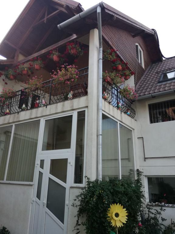 Vila Nely Rîşnov Exterior foto