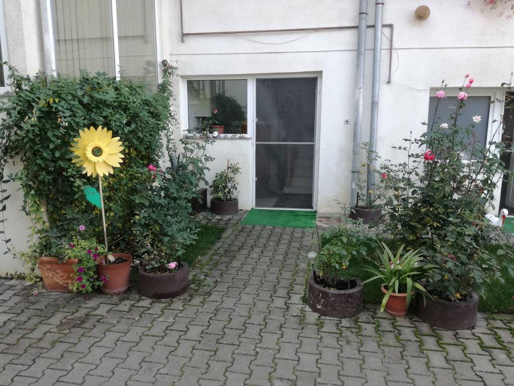 Vila Nely Rîşnov Exterior foto